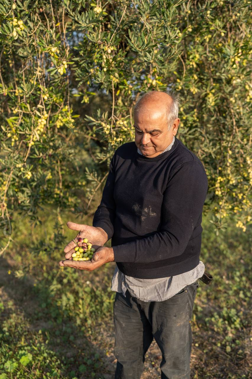 OLIO EXTRAVERGINE DI OLIVA IN BOTTIGLIA DI VETRO DA 750ML