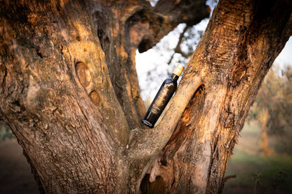 OLIO EXTRAVERGINE DI OLIVA IN BOTTIGLIA DI VETRO DA 500ML
